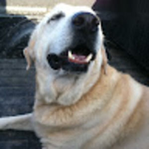 Meet your Posher, Jeff